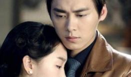 明星的电视剧,明星主演的电视剧魅力之旅