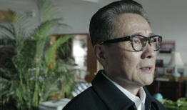 省委书记电视剧,权力与担当的抉择之路